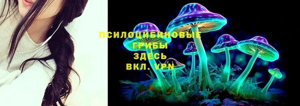 спиды Снежногорск