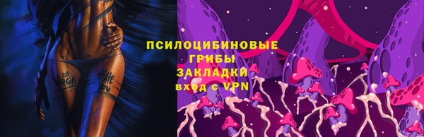 спиды Снежногорск
