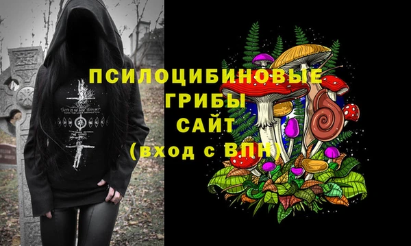 герыч Осинники