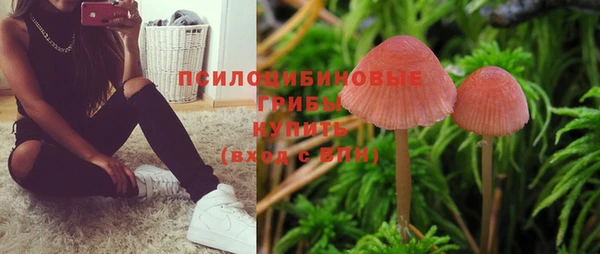 скорость Осташков