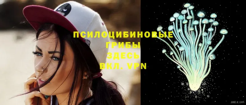 Галлюциногенные грибы MAGIC MUSHROOMS  Александров 