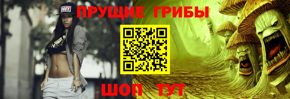 где купить наркоту  Галлюциногенные грибы MAGIC MUSHROOMS  Вход с VPN  Александров 